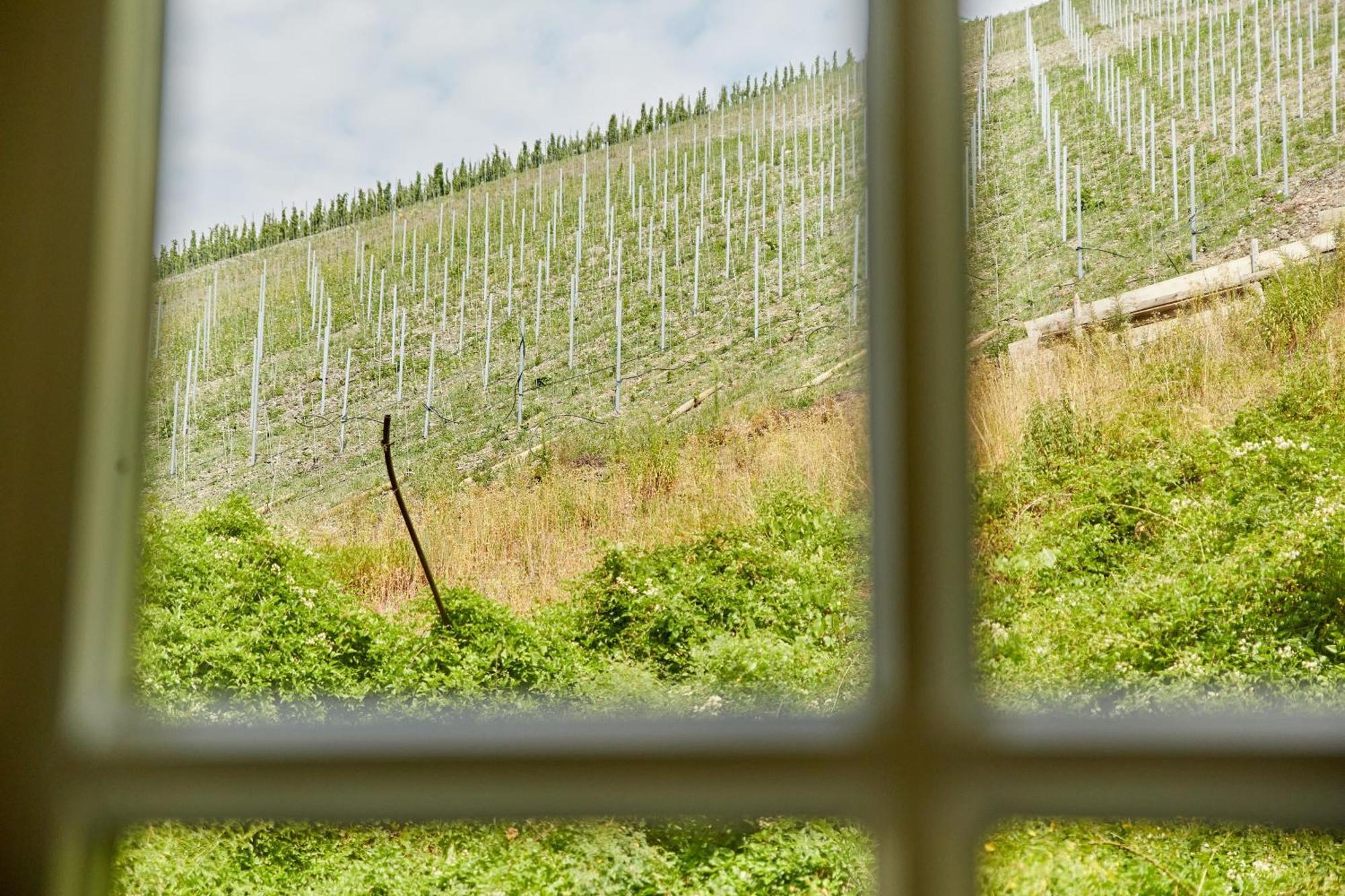 Ferienhaus Alte Muehle Bernkastel-Kues Eksteriør billede